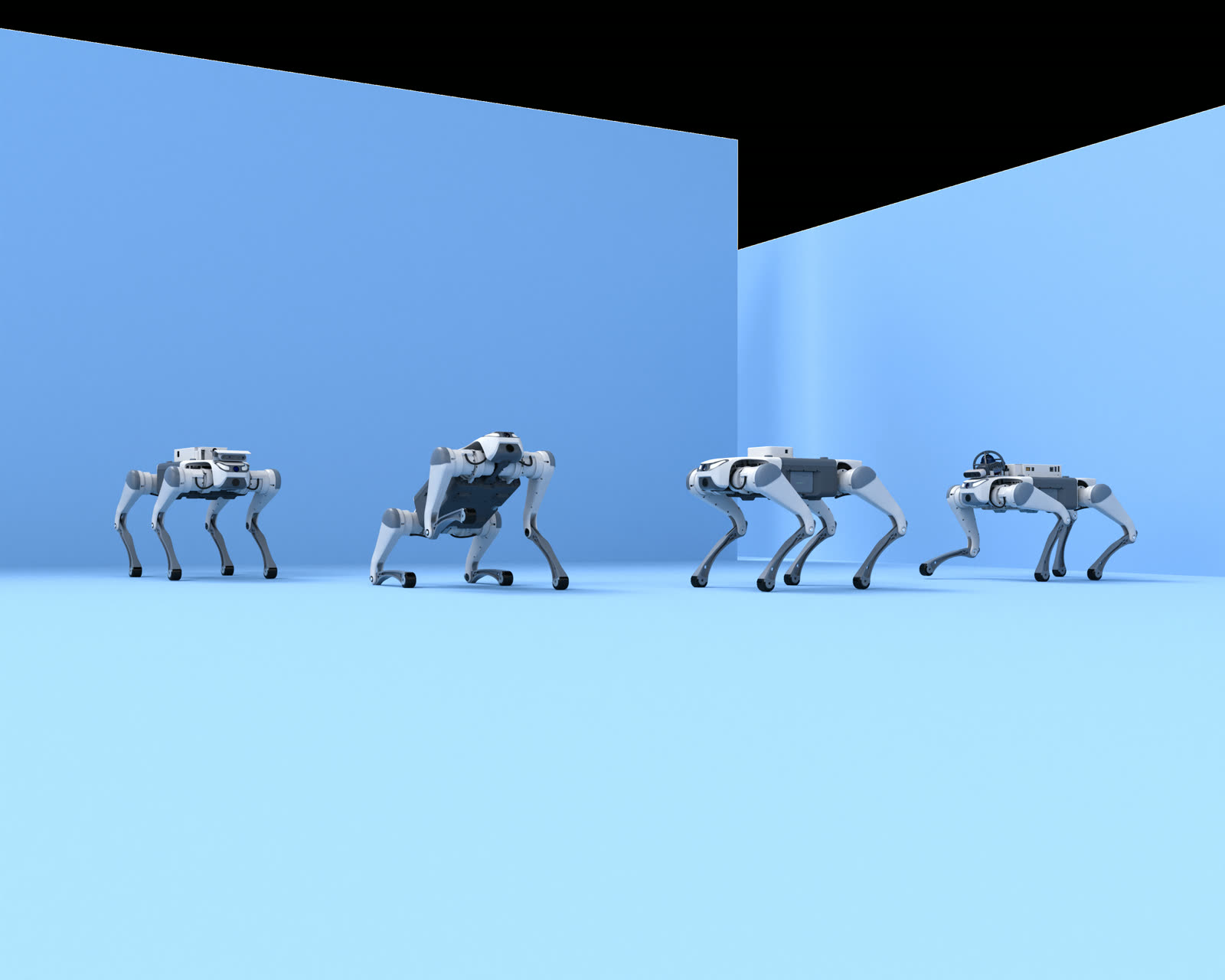 Quatro robôs quadrúpedes Lite3 em estúdio azul