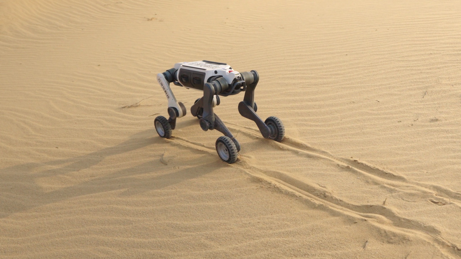 Robô Deep Robotics sozinho nas dunas do deserto — imagem ilustrativa do fabricante; foto oficial do caso NEOM em obtenção