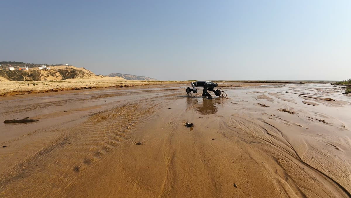 Lynx M20 na praia de maré com rastro de rodas