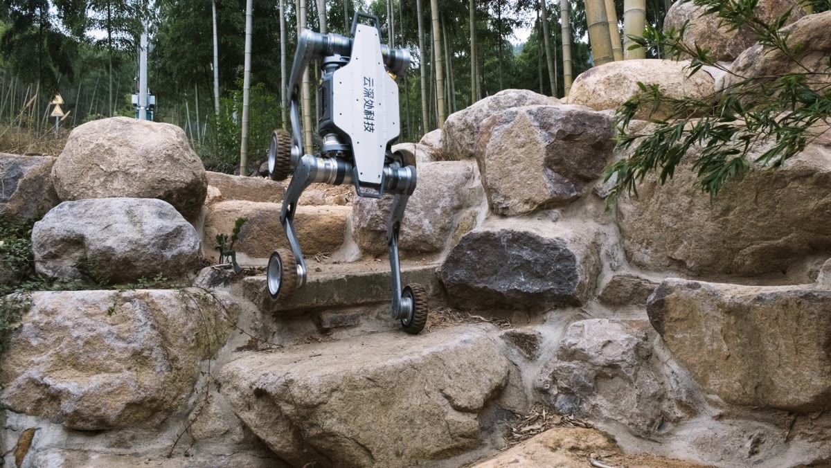 Lynx M20 em trilha de pedras no bambuzal