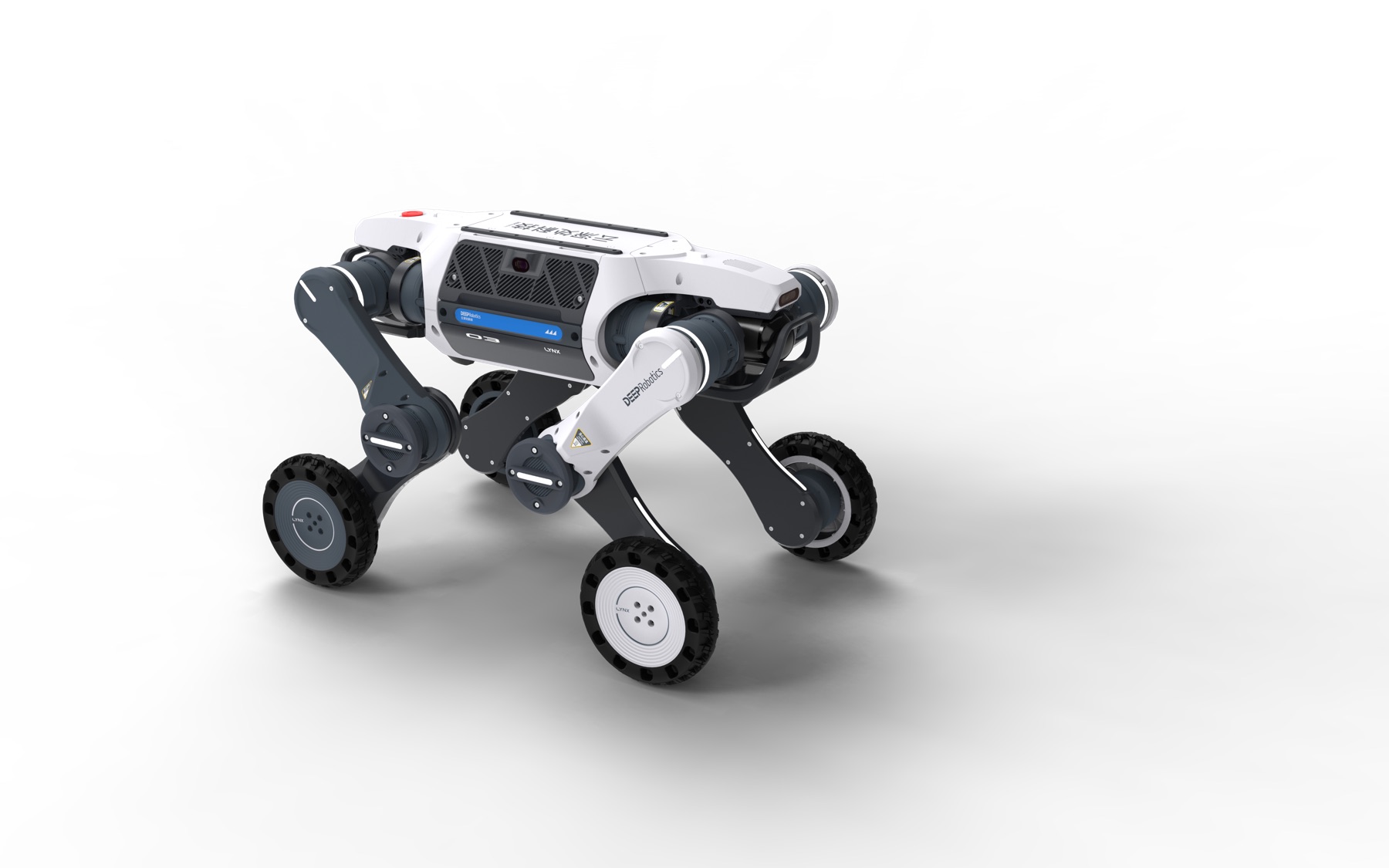 Lynx S10 compacto