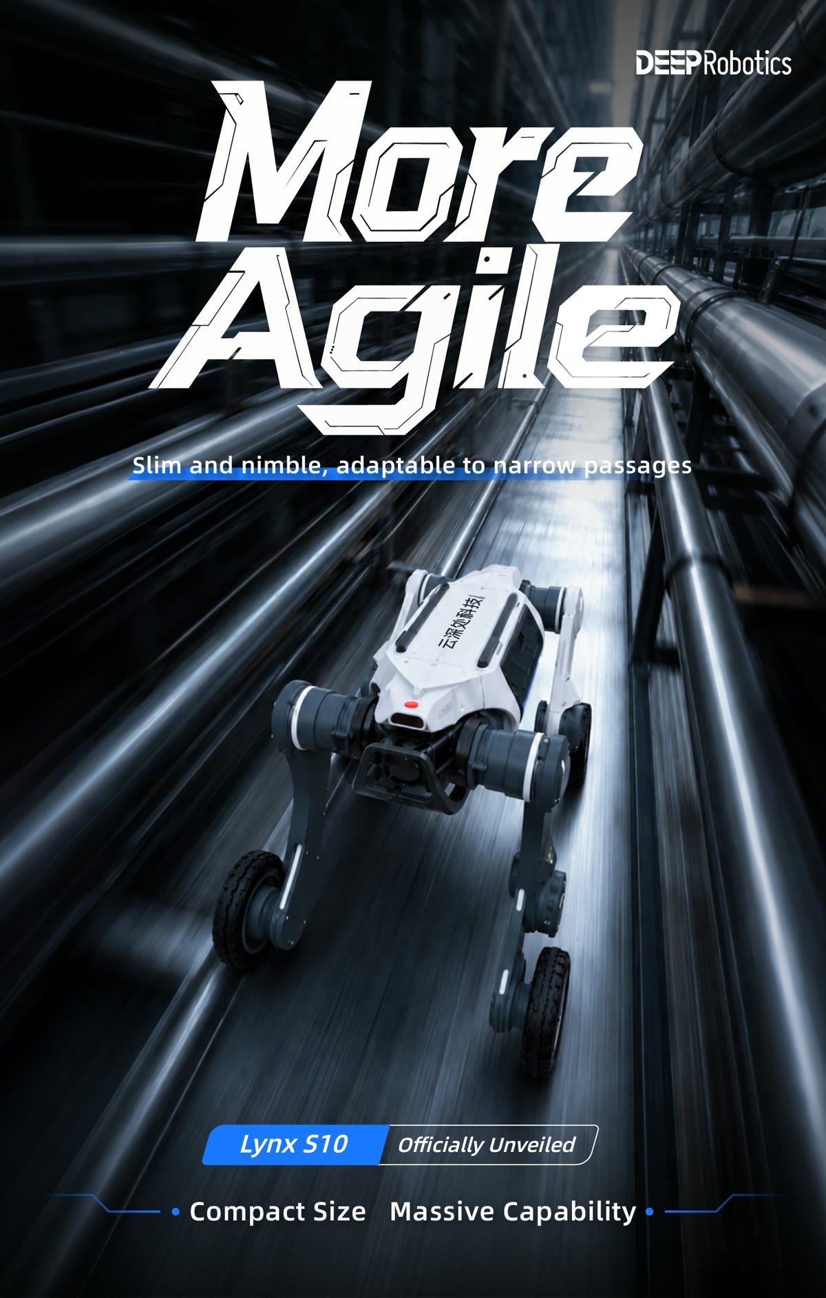 Lynx S10 — arte oficial More Agile